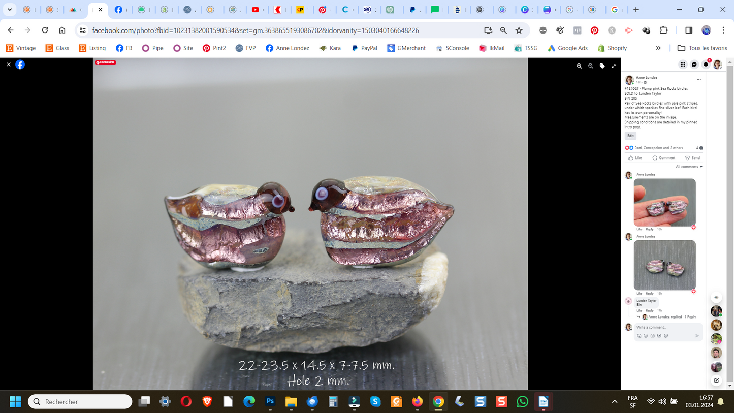 #124063 - Plump pink Sea Rocks birdies