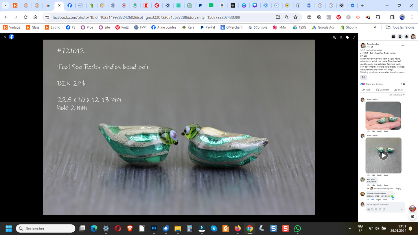 Pair of teal Sea Rocks bird beads