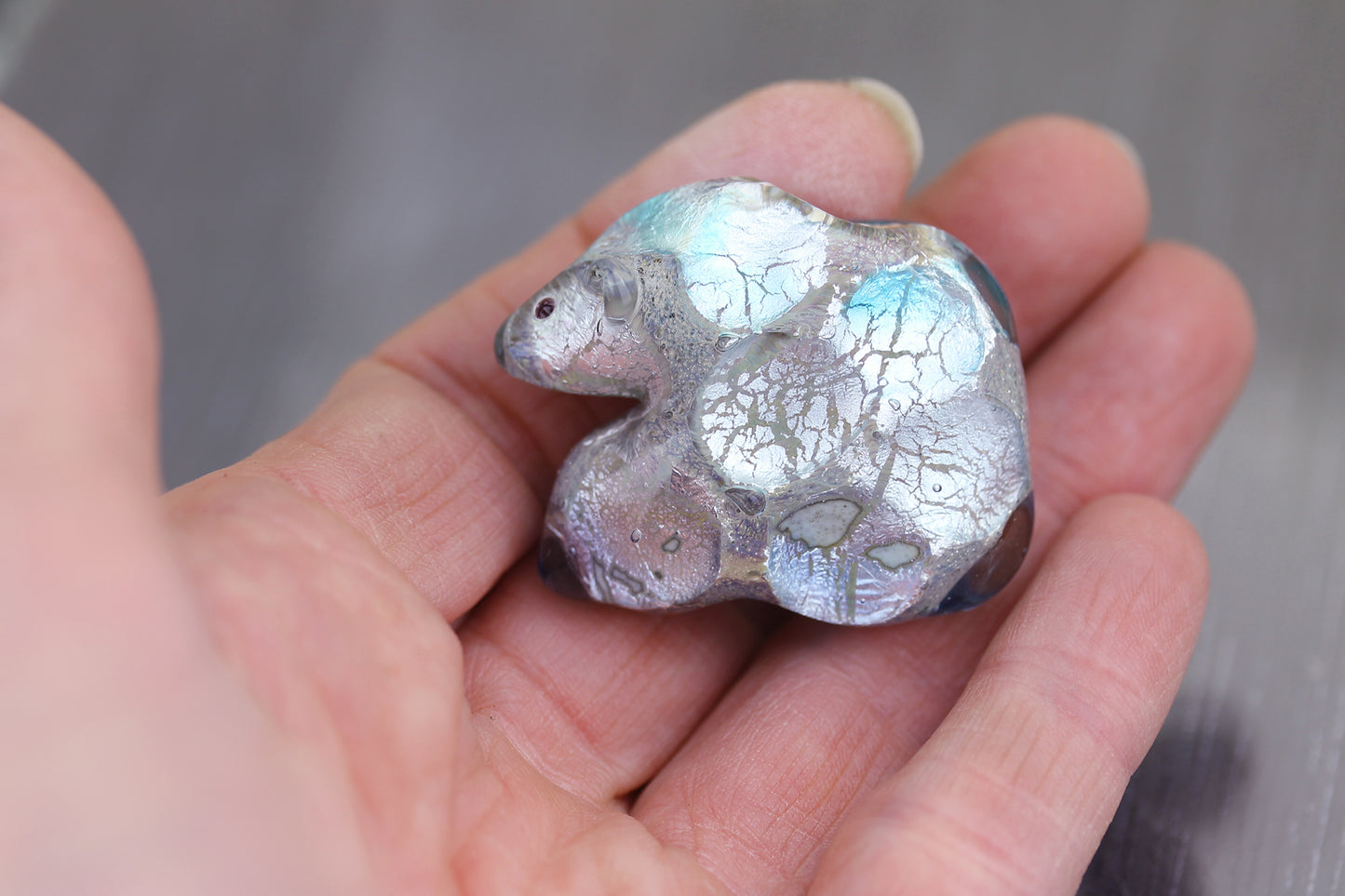 Ours Polaire Bleu glacier Sea Rocks #2602001