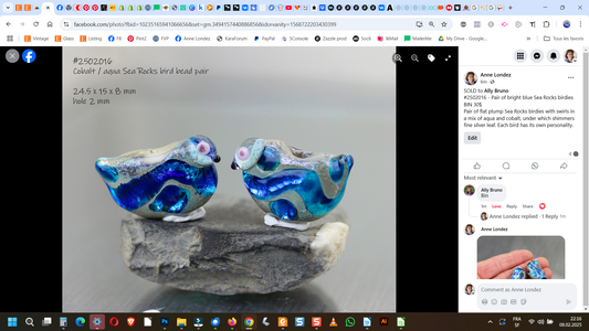 Pair of bright blue Sea Rocks birdies #2502016