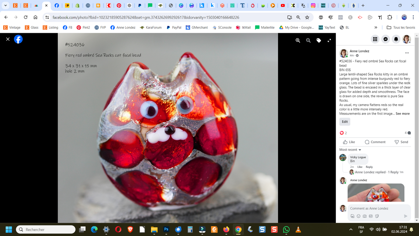 Fiery Red Ombré Sea Rocks cat focal bead #524036