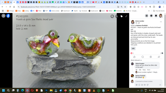 Peach & green Sea Rocks bird bead pair #252051 -