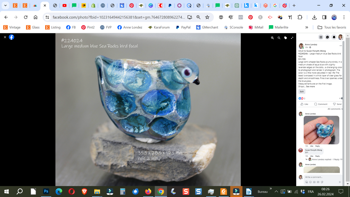 Blue Jewels Sea Rocks Bird focal #224024b