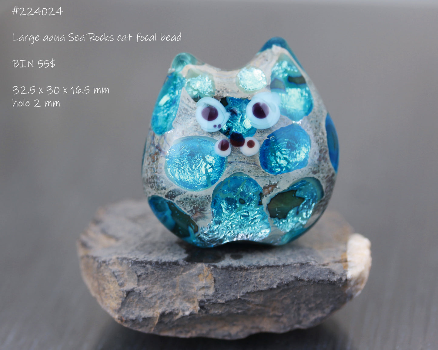 Aqua Blue Sea Rocks Cat focal #224024