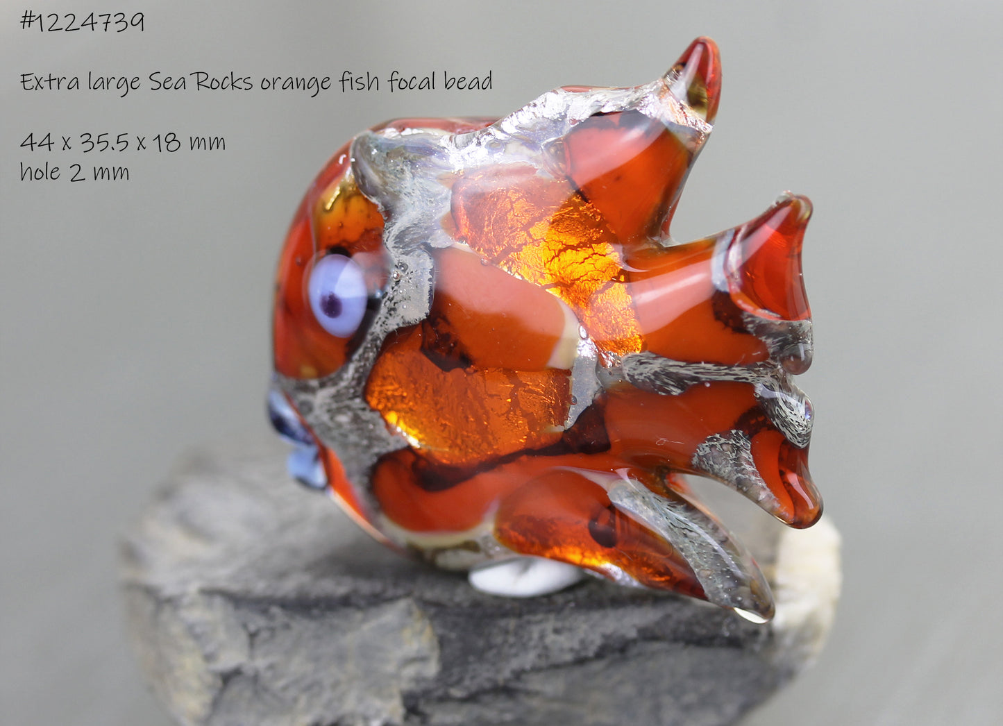 Grand poisson Sea Rocks orange feu  #1224789