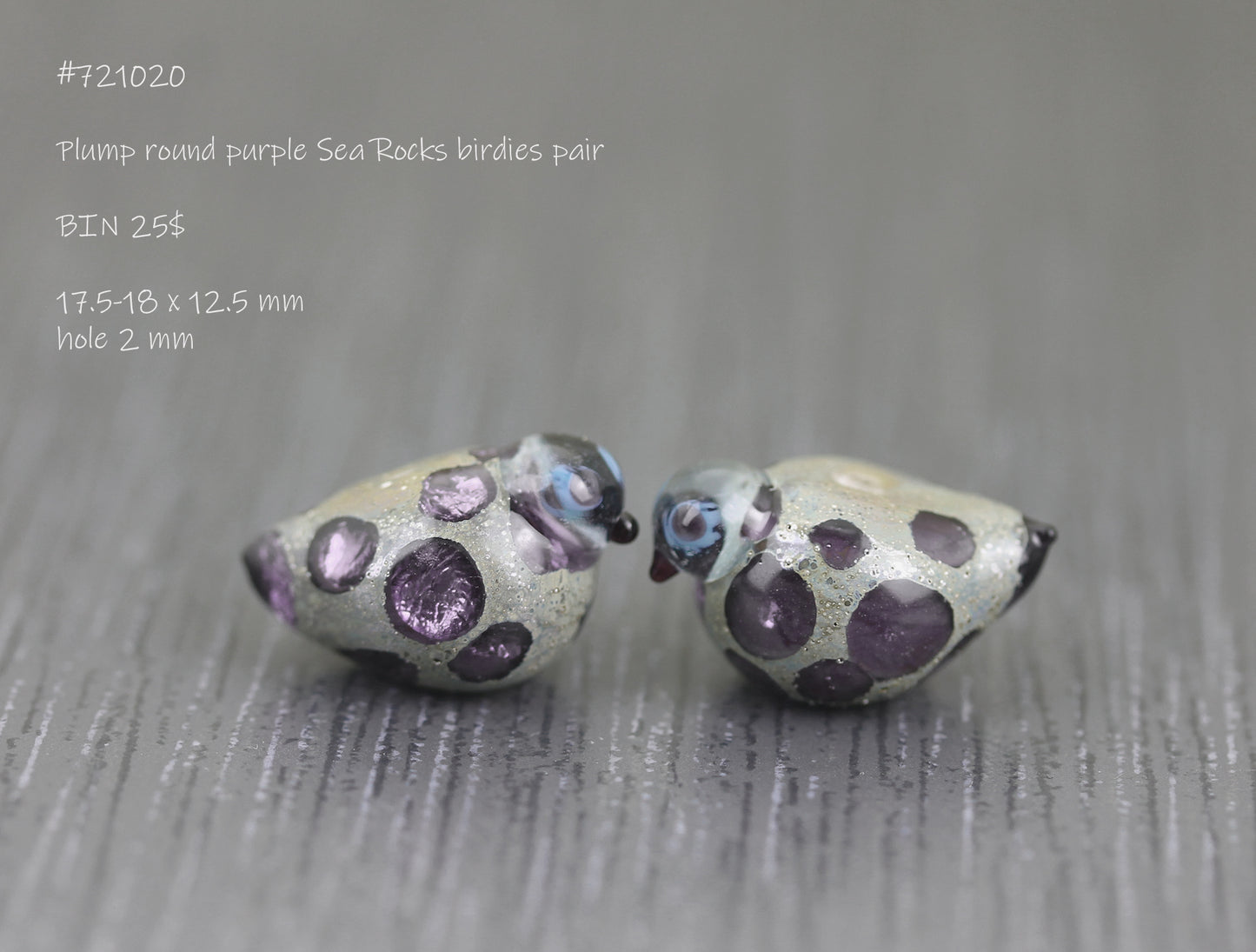 #721020 - Purple Sea Rocks bird pair