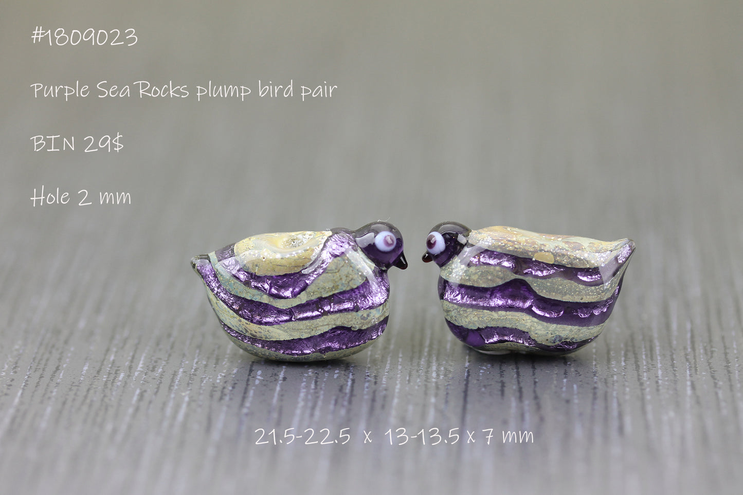 #1809023 - Pale purple Sea Rocks birdies