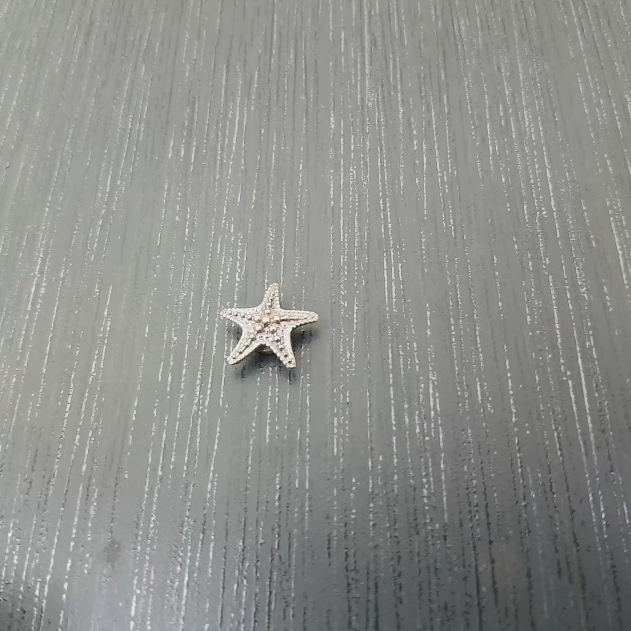 15 mm Dessus de bague interchangeable étoile de mer en Argent 925 Ring Ding, Monture à vis compatible 25M